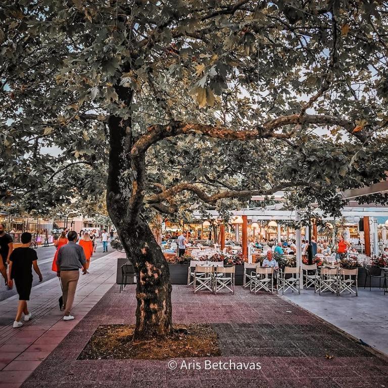 Old Town